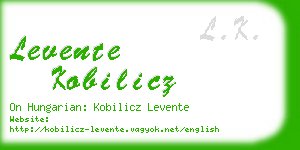 levente kobilicz business card